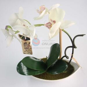 Hot Sale Butterfly Orchid White Artificial Flower Bonsai