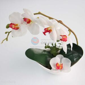 Elegant White Artificial Flower Bonsai of Orchid