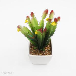 Artificial/Simulation Potted Plant of Cactus with Flower