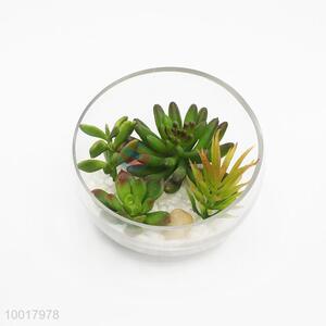 Artificial/Simulation Potted Plant of Schlumbergera Bridgesii with Glass Pot