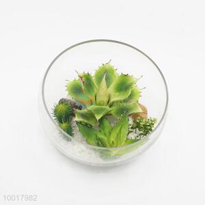 Artificial/Simulation Potted Plant with Glass Pot for Decoration