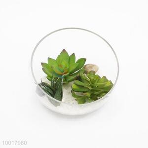 Artificial/Simulation Potted Plant of Pinecone and Lotus Flower with Glass Pot