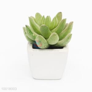 Popular Product Artificial/Simulation Potted For Decoration