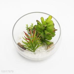 Artificial/Simulation Potted Plant of Pinecone with Glass Pot