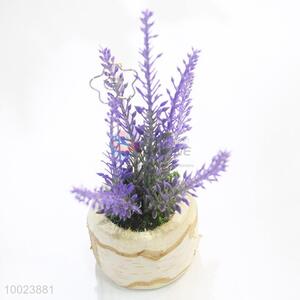 18cm Cardcase, Birch Pot with Purple Plant