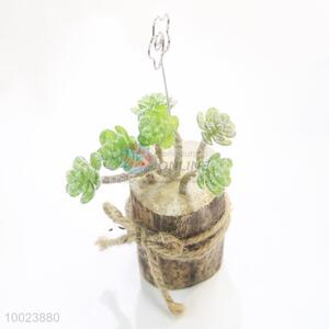 Wholesale 16cm Cardcase, Poplarb Pot with Succulent