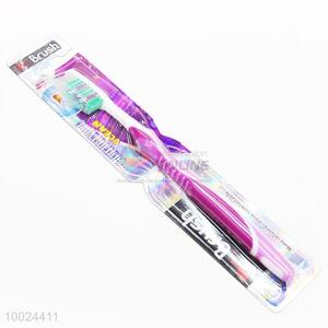 Hot Product Audlt Toothbrush for Home/Hotel
