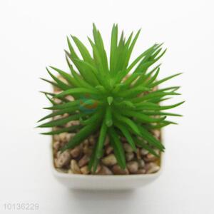 Mini Realistic Artificial Succulent Plant for Decoration