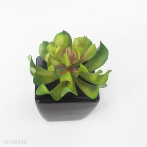 Indoor artificial succulent plants pot