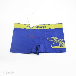 High Quality Blue Children's Underpants for Sale