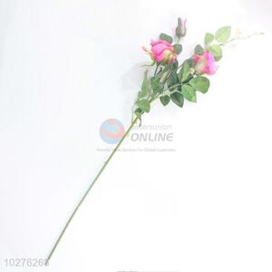 Best selling acceptable price rose