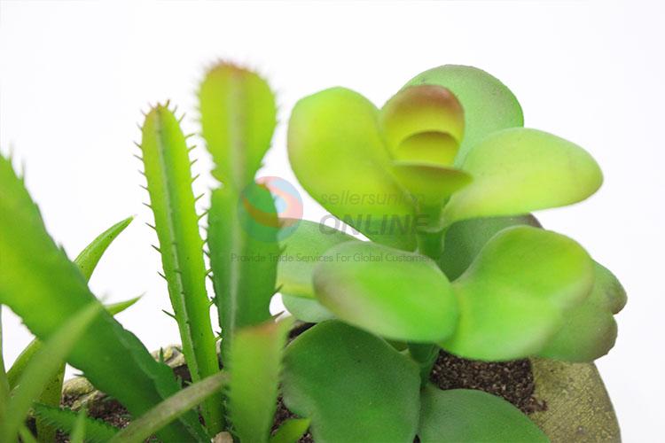Crazy selling bamboo root modelling simulation succulent plants