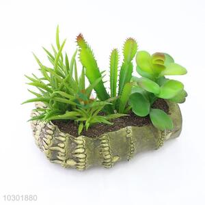 Crazy selling bamboo root modelling simulation succulent plants
