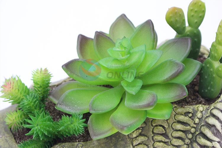 Good sale bamboo root modelling simulation succulent plants