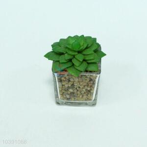 Wholesale Decorative Indoor Artificial Plants
