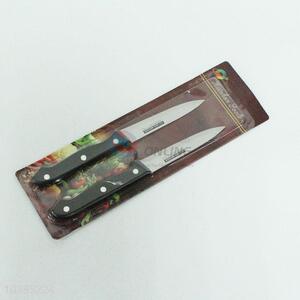 Popular 2PCS Stainless Steel Fruit Knife with Plastic Handle