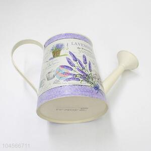 Newest design low price tinplate flower pot