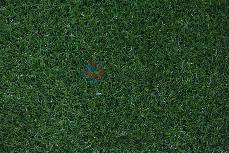 Latest Arrival Fake Moss Eco Bottle Lawn Grass Turf Diy Accessories