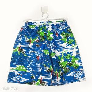 Promotional Gift Swim Beach Shorts Colorful Quick Dry Men's Surf Board Shorts