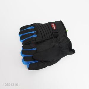 Wholesale Outdoors Winter Keeping Warm Sports Ski Gloves