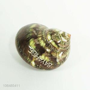 Hot Selling Shells Decorative Fridge Magnet