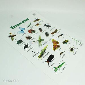 Cheap Insect English Wall Chart For Children Education For Kids