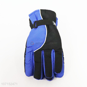 Good Quality Winter Outside Sports Skiing Gloves