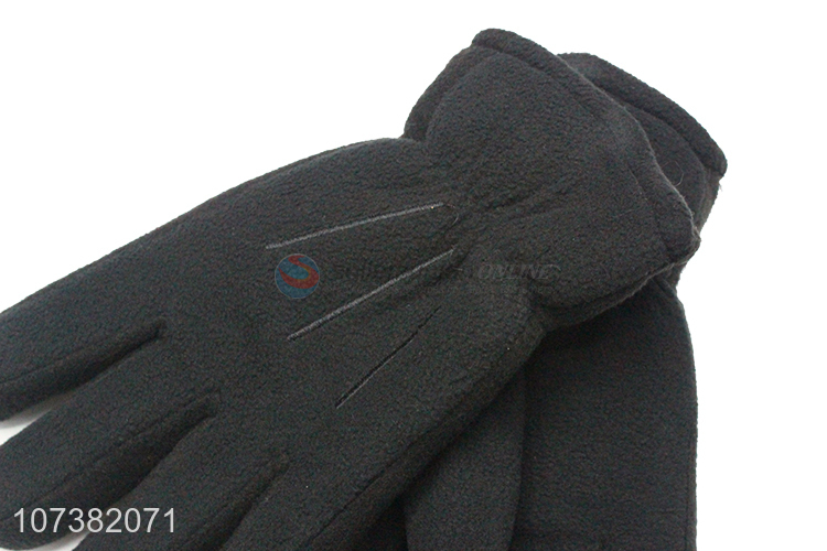 Wholesale Price Winter Warm Full Finger Polar Fleece Gloves