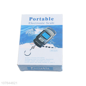 High quality 50kg portable electronic scale weighing scale