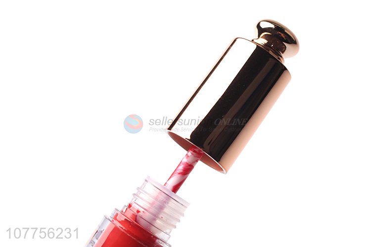Hot sale cosmetic makeup lip gloss waterproof lipgloss
