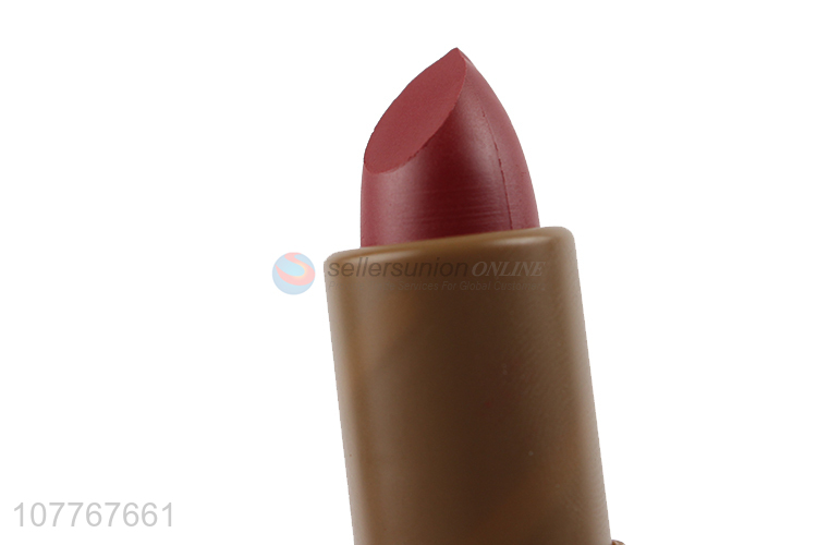 Hot Selling Long Lasting Matte Lipstick Fashion Cosmetics