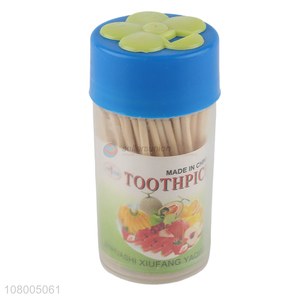 Popular products household double-head toothpicks fruit bamboo stick
