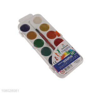 Wholesale cheap price eco-friendly 12colors paint water color