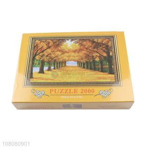 Yiwu wholesale DIY paper jigsaw puzzle adult decompression toy