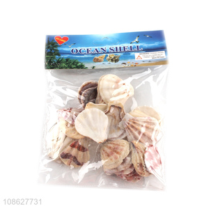 Wholesale shell craft natural shells for fish tank decoration