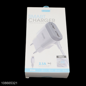 Top products dual usb 2.1A smart charger mobile phone charger for iPhone