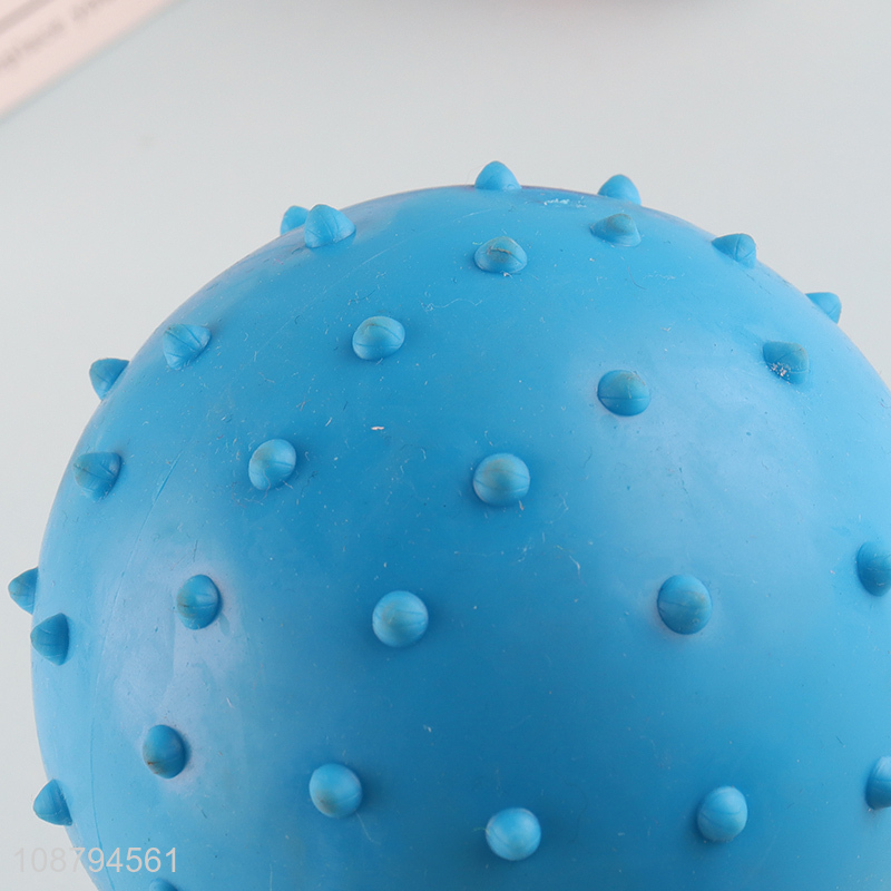 New product blue pets leaky food toys ball