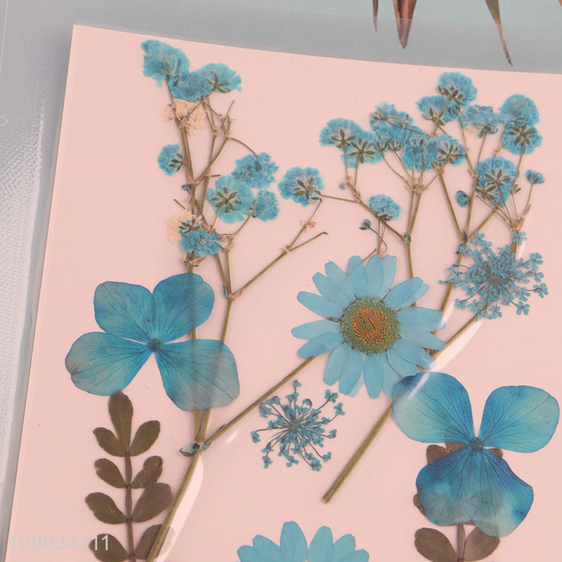 Yiwu factory blue decorative natural dried pressed flower