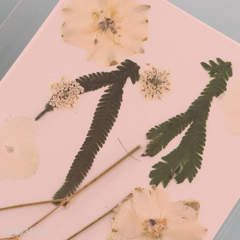 Best price natural dried pressed flower for decoration