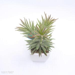 Wholesale Artificial/Simulation Potted Plant of Pine Needle