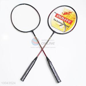 2pcs Professional Training Badminton Rackets Set