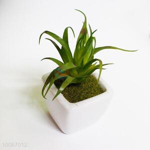 White Ceramic Mini Artificial Bonsai Flower Pots