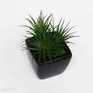 Mini Artificial Bonsai with Black Flower Pots