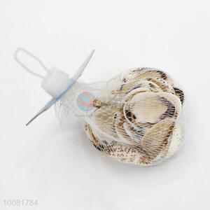 Beautiful Decorative <em>Shell</em> <em>Crafts</em>, Wholesale Seashell