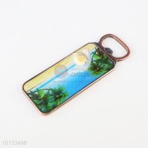 Wholesale Fridge Magnet with Bottle Opener