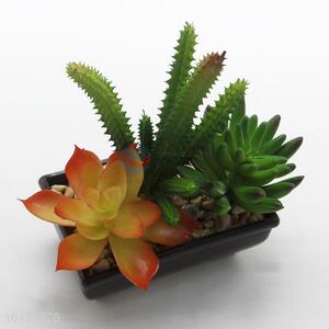 Cheap Price Artificial Succulent Plants with Pots