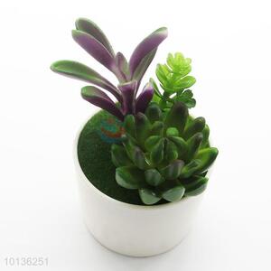 Home Decoration Artificial Succulent Ornamental Plants