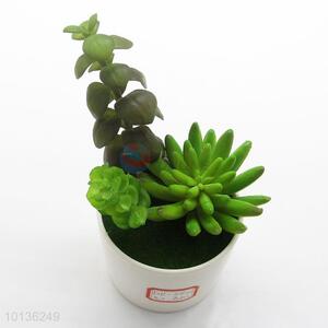 Ornamental Plants Small white Porcelain Plastic Succulent Plant Bonsai