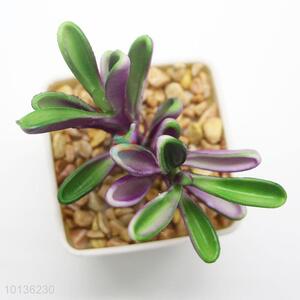 Cheap Wholesale Artificial Succulent Plant for Decoration