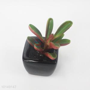 Beautiful design fake plant succulent pot